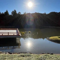 画像265