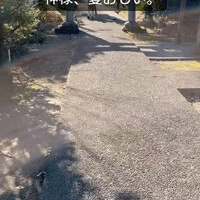 画像283