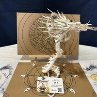 画像295