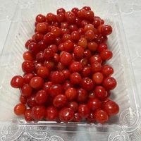 画像375