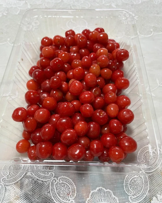 画像375
