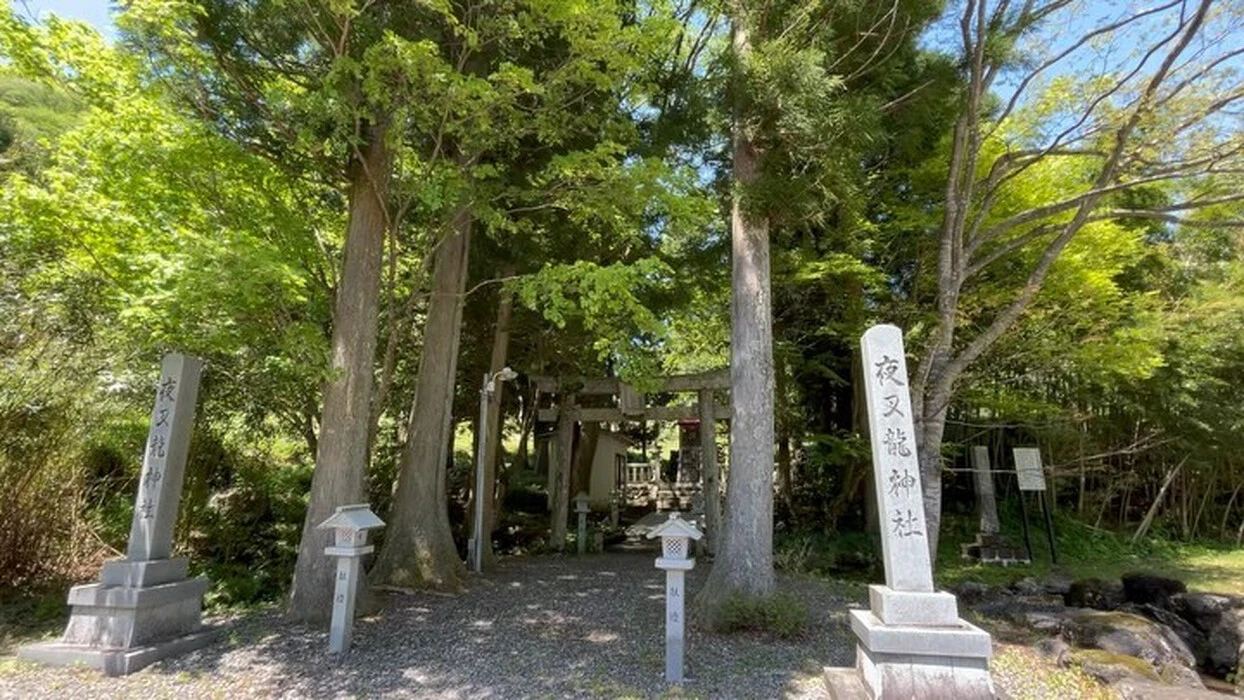 画像377