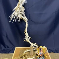 画像391