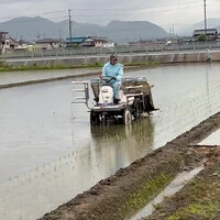 画像423