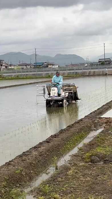 画像423