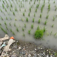 画像458