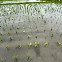 画像460