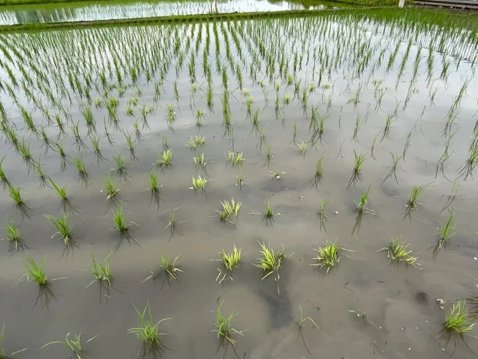 画像460