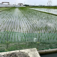 画像461