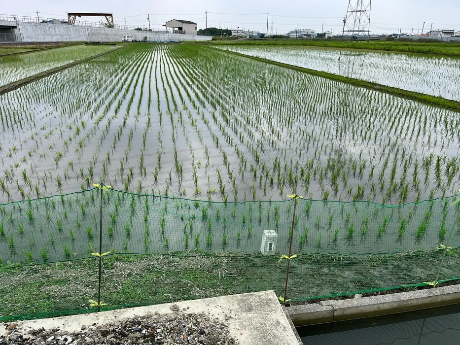 画像461